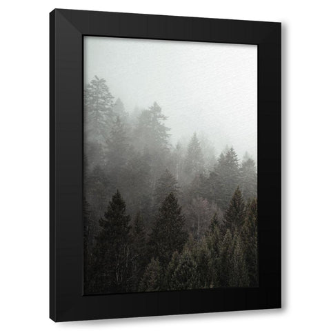 Mist 1 Black Modern Wood Framed Art Print by Allen, Kimberly