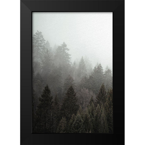 Mist 1 Black Modern Wood Framed Art Print by Allen, Kimberly