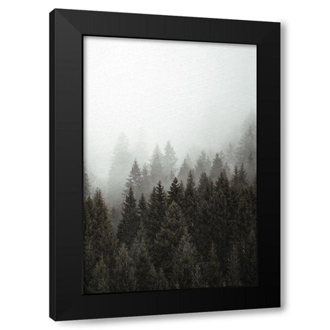 Mist 2 Black Modern Wood Framed Art Print by Allen, Kimberly
