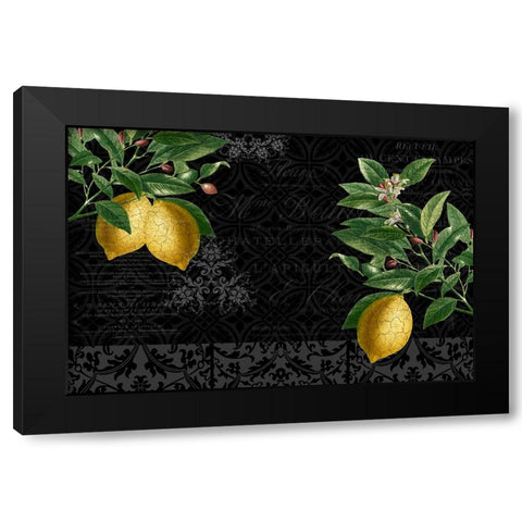 Lemon Drop Black Modern Wood Framed Art Print with Double Matting by Allen, Kimberly