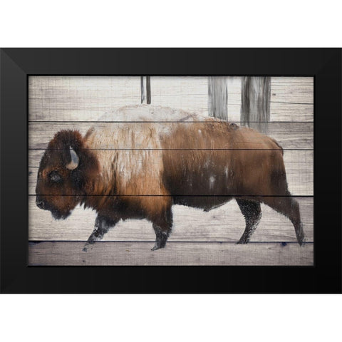 Winter Bison Black Modern Wood Framed Art Print by Allen, Kimberly
