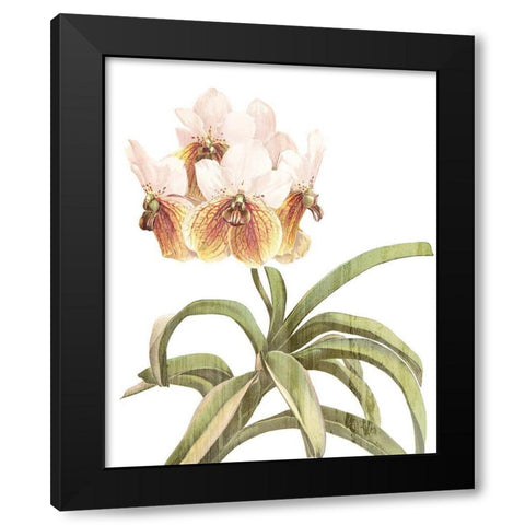 Orchid Love 3 Black Modern Wood Framed Art Print by Kimberly, Allen