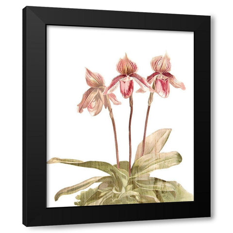 Orchid Love 4 Black Modern Wood Framed Art Print by Kimberly, Allen