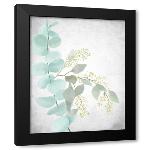 Eucalyptus and Leaves 2 Black Modern Wood Framed Art Print with Double Matting by Allen, Kimberly