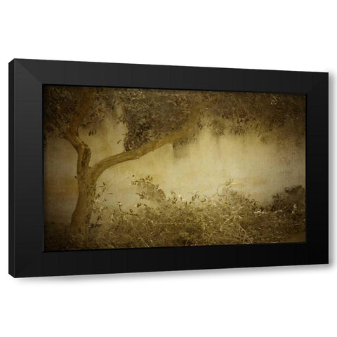 Olive Tree Black Modern Wood Framed Art Print by Allen, Kimberly
