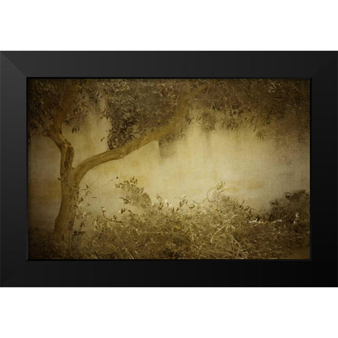 Olive Tree Black Modern Wood Framed Art Print by Allen, Kimberly
