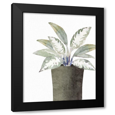 Olive Pot 2 Black Modern Wood Framed Art Print with Double Matting by Allen, Kimberly