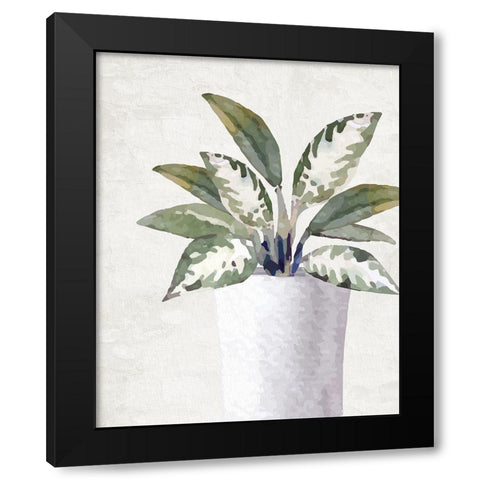 Plant 2 Black Modern Wood Framed Art Print with Double Matting by Allen, Kimberly