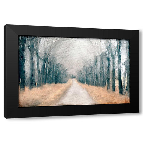 Pathway in the Mist Black Modern Wood Framed Art Print by Allen, Kimberly