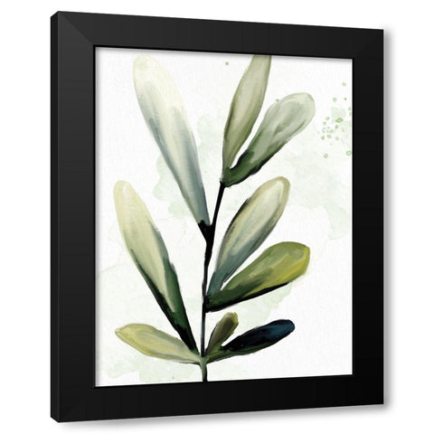 Greenery 2 Black Modern Wood Framed Art Print with Double Matting by Allen, Kimberly