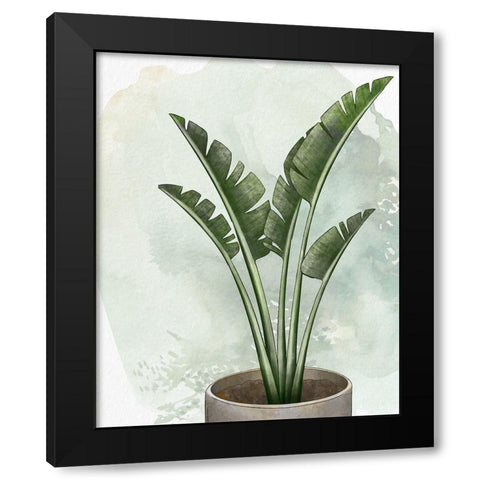 House Plant 2 Black Modern Wood Framed Art Print with Double Matting by Allen, Kimberly