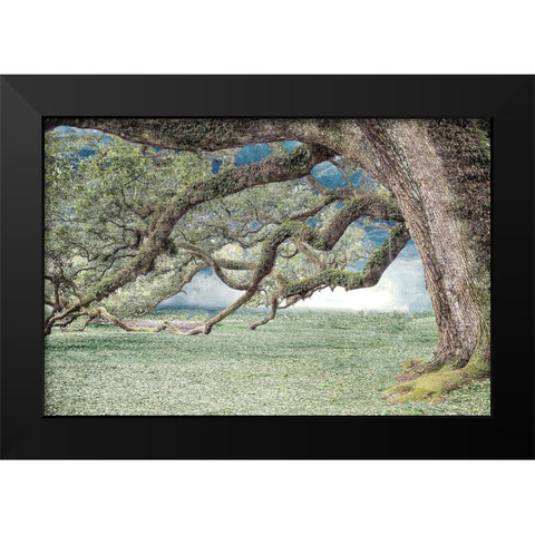 Under the Branches Black Modern Wood Framed Art Print by Allen, Kimberly