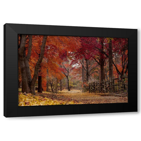 Autumn Stroll Black Modern Wood Framed Art Print with Double Matting by Allen, Kimberly