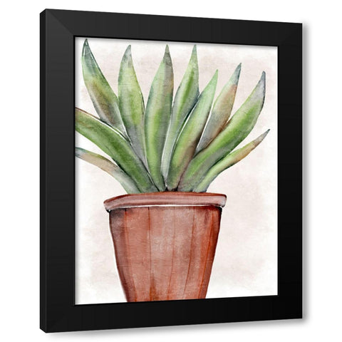 Succulent Plant 1 Black Modern Wood Framed Art Print by Allen, Kimberly