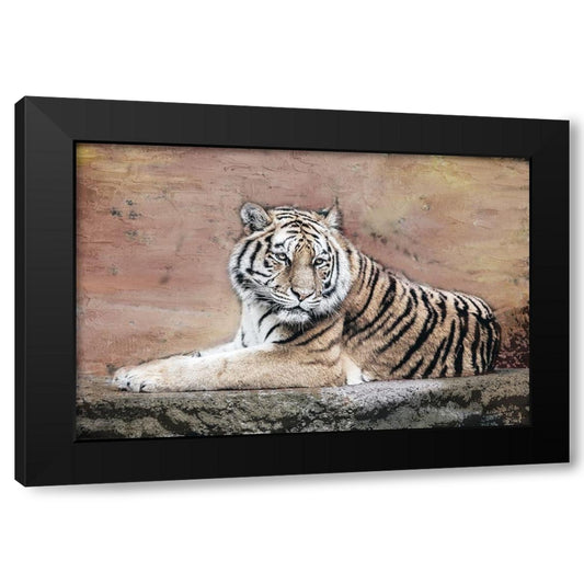Perspective Image