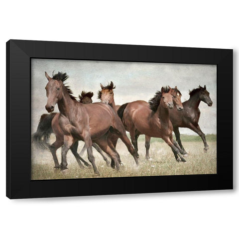 Running Wild Horses Black Modern Wood Framed Art Print by Allen, Kimberly