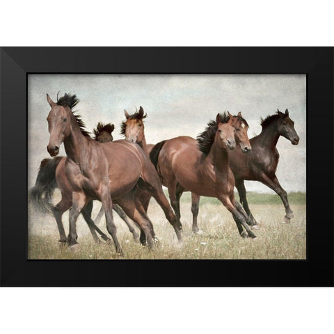 Running Wild Horses Black Modern Wood Framed Art Print by Allen, Kimberly