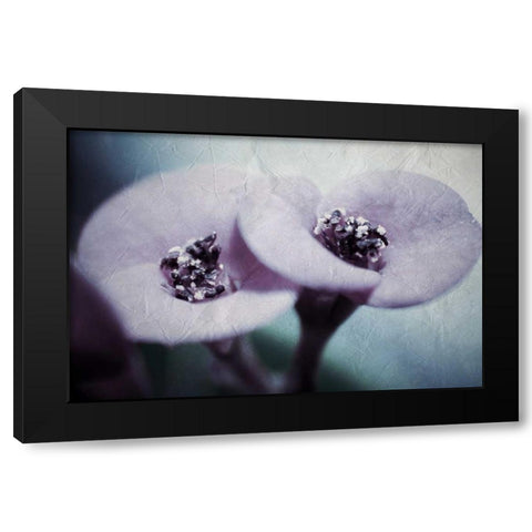 My View Black Modern Wood Framed Art Print with Double Matting by Allen, Kimberly