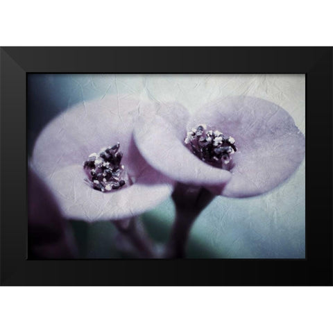 My View Black Modern Wood Framed Art Print by Allen, Kimberly