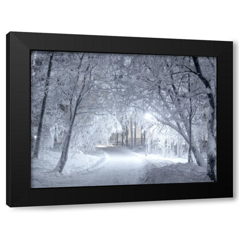 Winter Path Black Modern Wood Framed Art Print by Allen, Kimberly