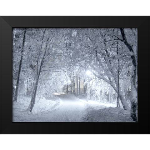 Winter Path Black Modern Wood Framed Art Print by Allen, Kimberly