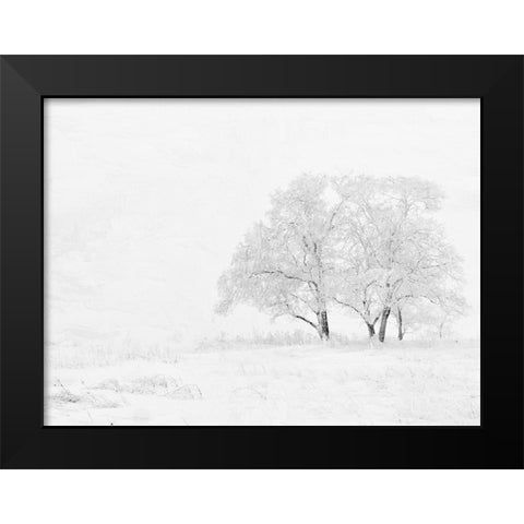 Winter White Black Modern Wood Framed Art Print by Allen, Kimberly