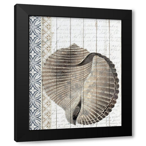 Shells 1 Black Modern Wood Framed Art Print by Allen, Kimberly