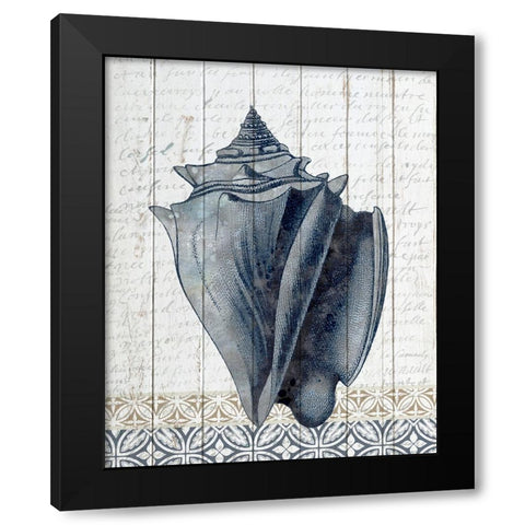 Shells 2 Black Modern Wood Framed Art Print by Allen, Kimberly
