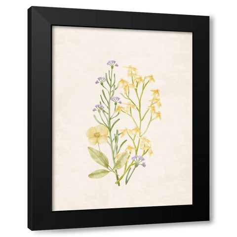 Wildflowers 1 Black Modern Wood Framed Art Print with Double Matting by Allen, Kimberly