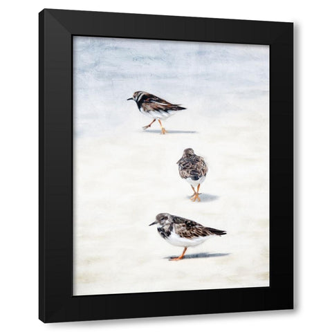 Sandpiper Beach Black Modern Wood Framed Art Print with Double Matting by Allen, Kimberly