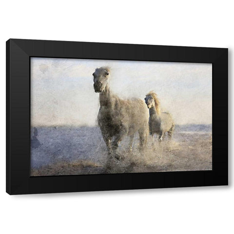 Running Free Black Modern Wood Framed Art Print with Double Matting by Allen, Kimberly