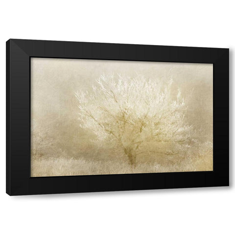 Dreaming Tree Black Modern Wood Framed Art Print with Double Matting by Allen, Kimberly
