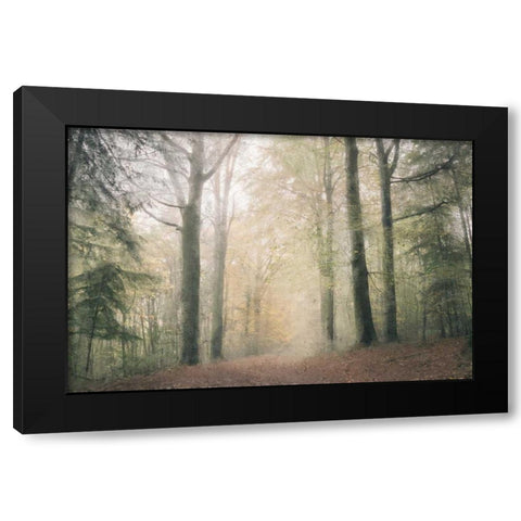 Morning Walk Black Modern Wood Framed Art Print by Allen, Kimberly