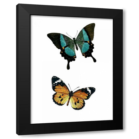 Fly Free 2 Black Modern Wood Framed Art Print with Double Matting by Allen, Kimberly