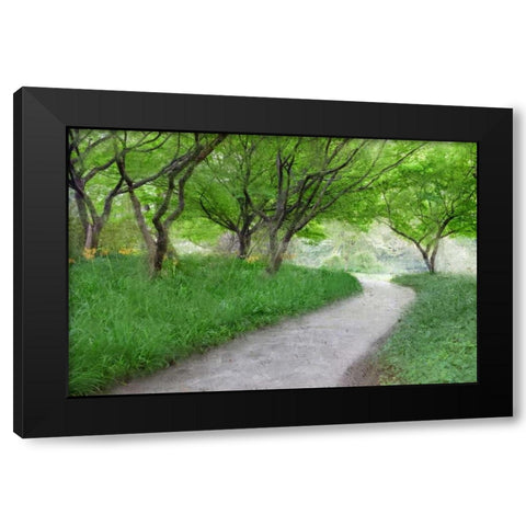 Along the Path Black Modern Wood Framed Art Print by Allen, Kimberly