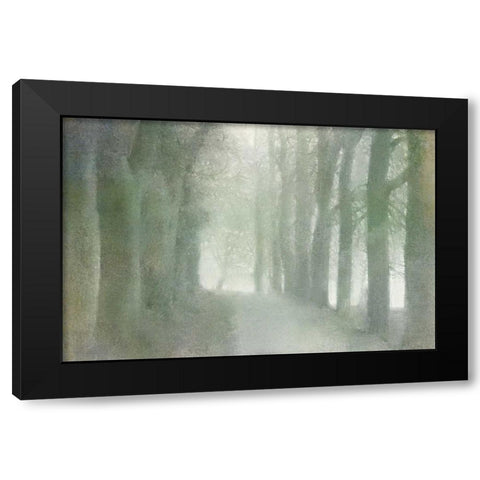 Natural Walkway Black Modern Wood Framed Art Print with Double Matting by Allen, Kimberly