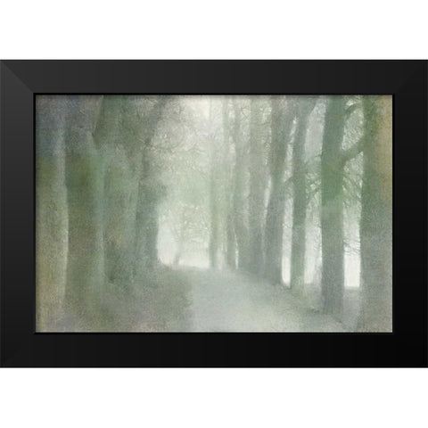Natural Walkway Black Modern Wood Framed Art Print by Allen, Kimberly