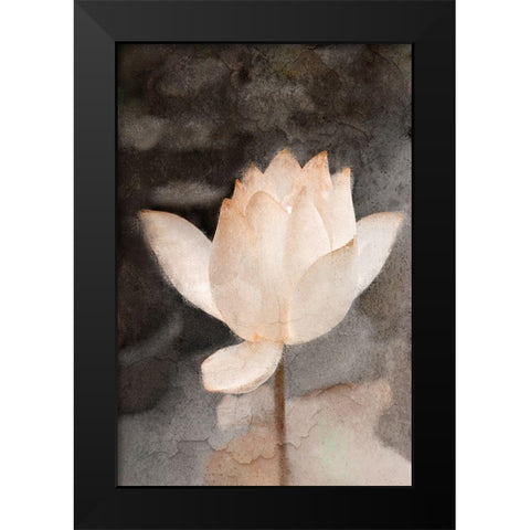Lotus Bloom Black Modern Wood Framed Art Print by Kimberly, Allen