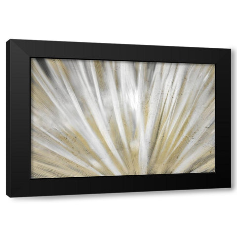 Burst of Day Black Modern Wood Framed Art Print with Double Matting by Kimberly, Allen