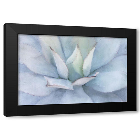 Serene Succulent Black Modern Wood Framed Art Print with Double Matting by Allen, Kimberly