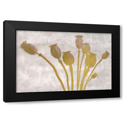 Poppy Buds Black Modern Wood Framed Art Print with Double Matting by Kimberly, Allen