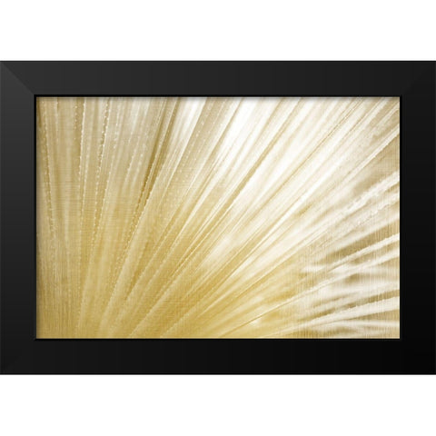 Golden Succulent Black Modern Wood Framed Art Print by Kimberly, Allen