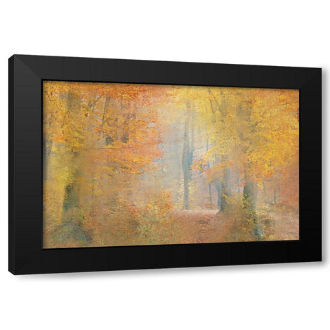 Colors of Autumn Black Modern Wood Framed Art Print by Kimberly, Allen