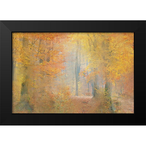 Colors of Autumn Black Modern Wood Framed Art Print by Kimberly, Allen