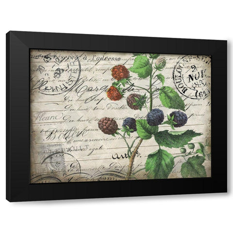 Vintage Blackberries Black Modern Wood Framed Art Print with Double Matting by Kimberly, Allen