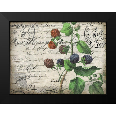 Vintage Blackberries Black Modern Wood Framed Art Print by Kimberly, Allen