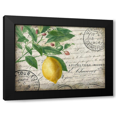 Vintage Lemon Black Modern Wood Framed Art Print with Double Matting by Kimberly, Allen