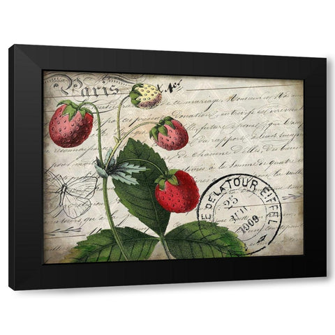 Vintage Strawberry Black Modern Wood Framed Art Print with Double Matting by Kimberly, Allen