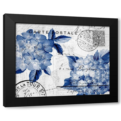 Postcard Hydrangea 4 Black Modern Wood Framed Art Print with Double Matting by Kimberly, Allen