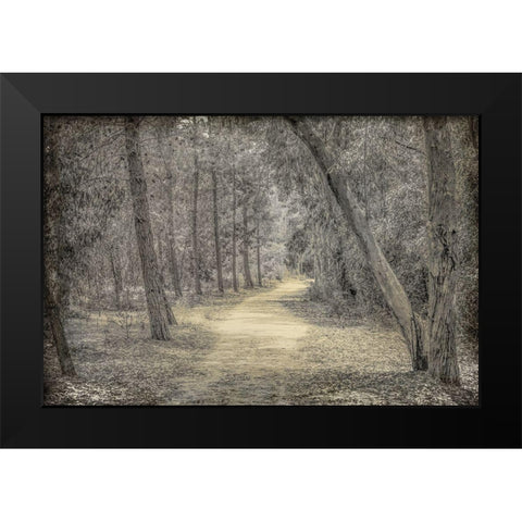 Forest of Dreams Black Modern Wood Framed Art Print by Kimberly, Allen
